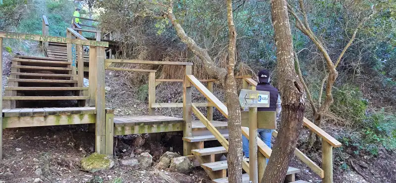 Muestra unas escaleras de madera