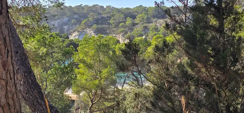 Se ven arboles y al fondo el mar