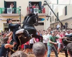 Muestra un caballo menorquín durante el jaleo en las fiestas de Menorca