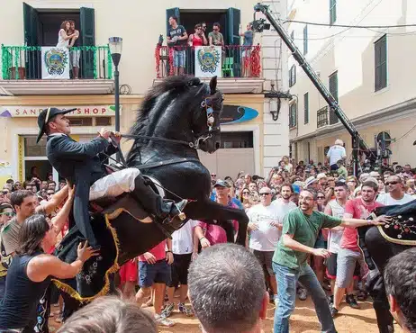 Muestra un caballo menorquín durante el jaleo en las fiestas de Menorca