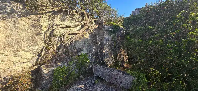 Jardín de Lithica de Menorca