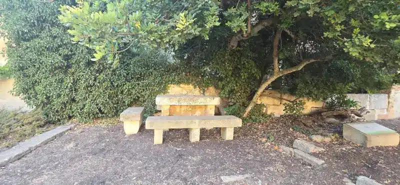 Un banco en el Jardín de Lithica de Menorca