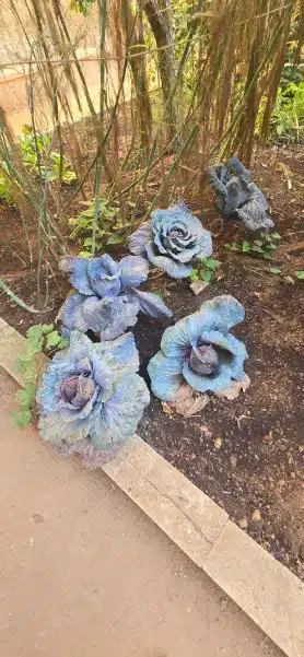 Rosas del Jardín de Lithica de Menorca