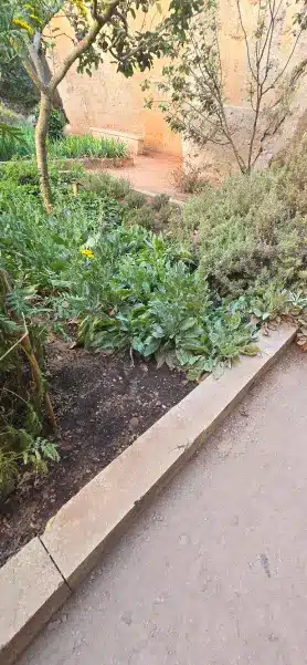 Jardín de Lithica de Menorca