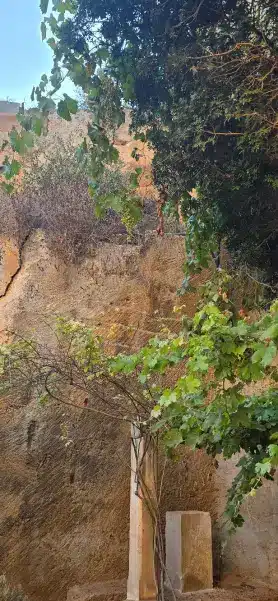 Jardín de Lithica de Menorca