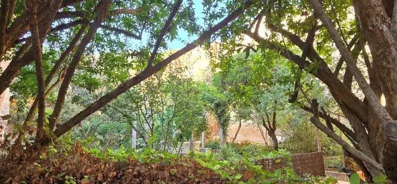 Jardin de Lithica de Menorca