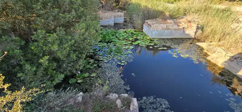 Lithica de Menorca