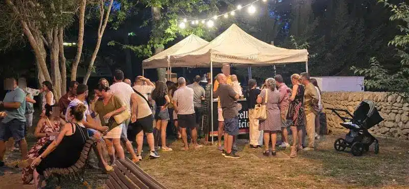 Grupo de personas sentadas viendo un concierto en las fiestas de Menorca