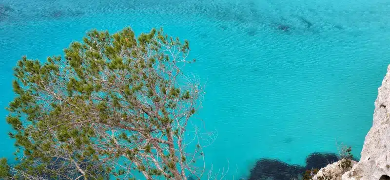 CALA GALDANA