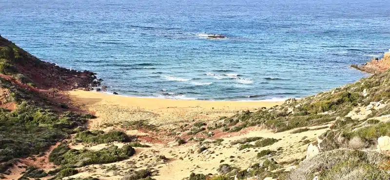 CALA PILAR (1) (R)