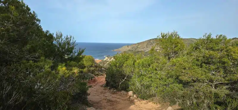 CALA PILAR (2) (R)