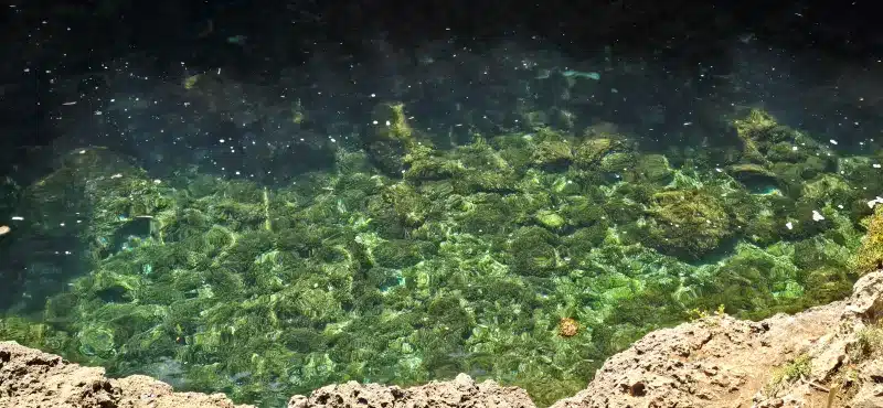 CALA RAFALET