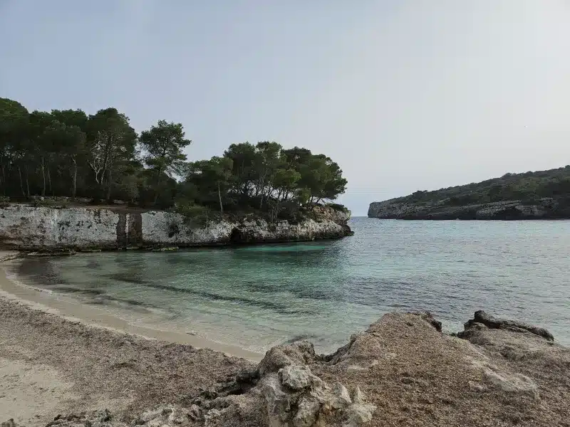 Muestra la Cala Turqueta con arboles a la derecha