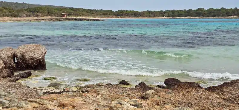 Muestra la Cala Turqueta