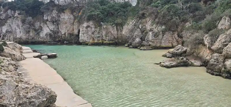 CALA_EN_FORCAT
