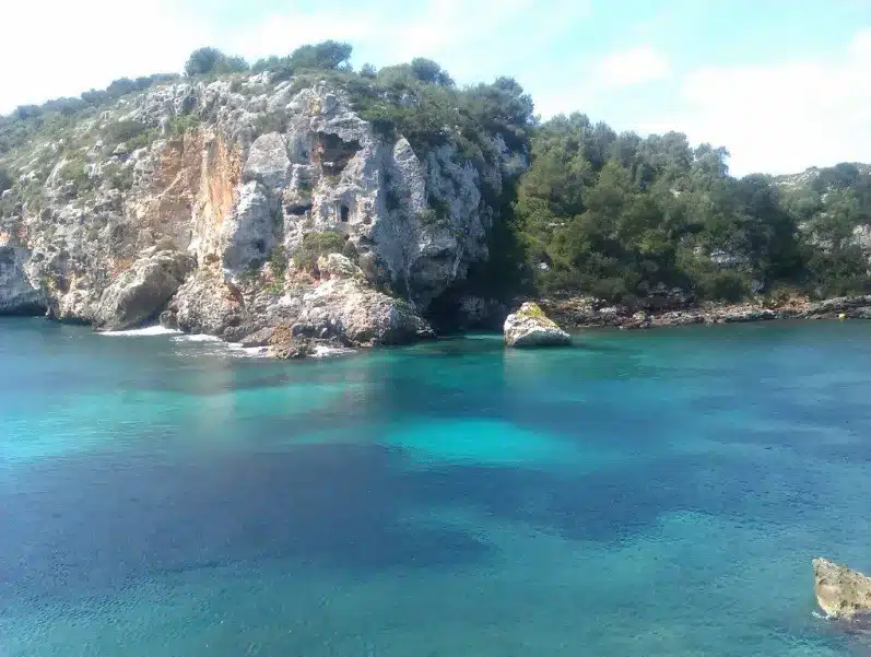 Cala COVES