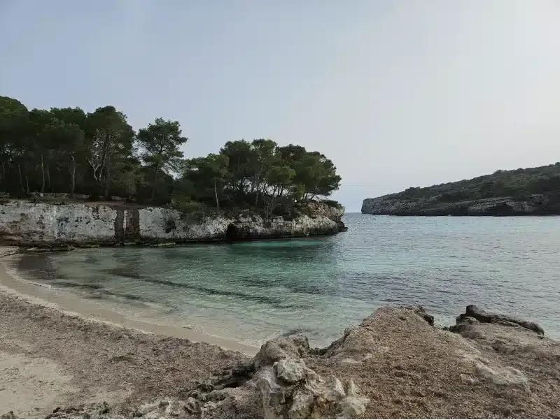 Cala Turqueta con arboles a la izquierda
