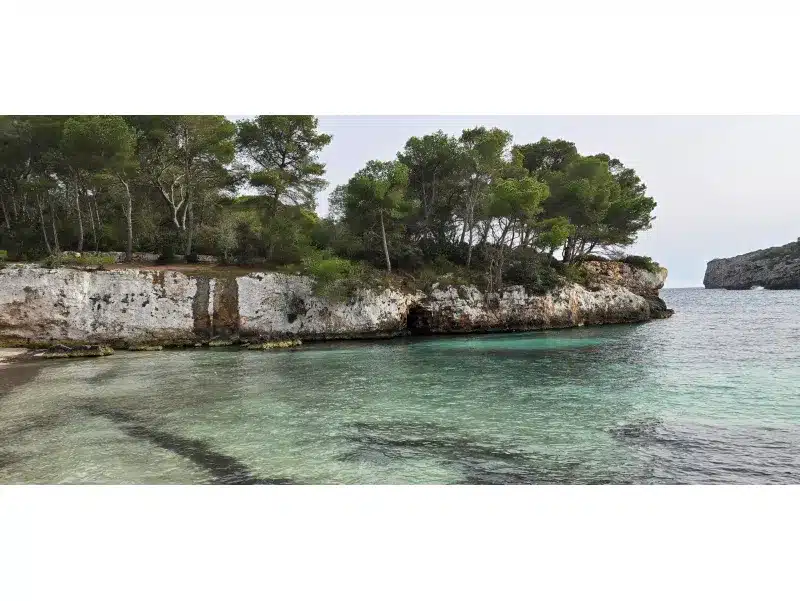 Cala Turqueta con arboles a la izquierda