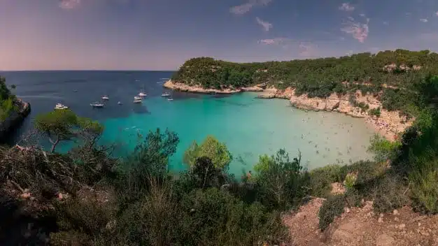 Cala Mitjana vista aerrea