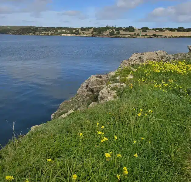 Paisaje primaveral en Menorca en Semana Santa: campo verde, costa y cielo claro.