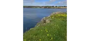 Paisaje primaveral en Menorca en Semana Santa: campo verde, costa y cielo claro.