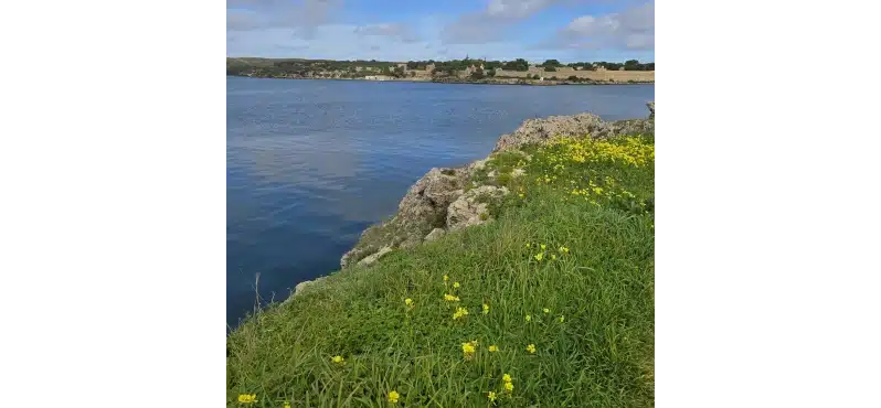 Paisaje primaveral en Menorca en Semana Santa: campo verde, costa y cielo claro.